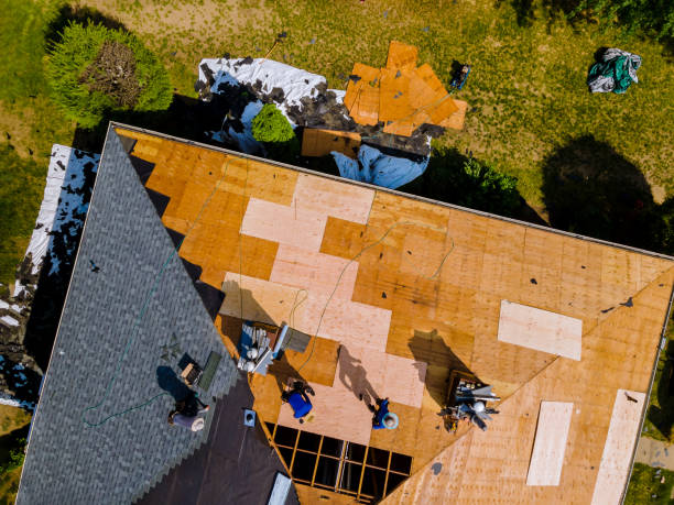 Best Best Roofing Contractors  in Point Mackenzie, AK