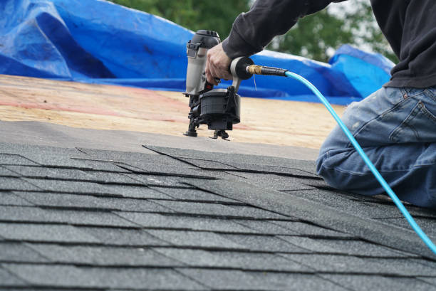 Best Roof Restoration Services  in Point Mackenzie, AK