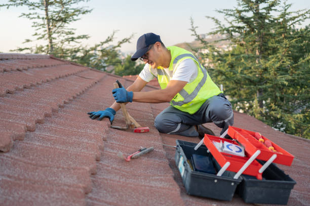 Best Roof Maintenance Services  in Point Mackenzie, AK