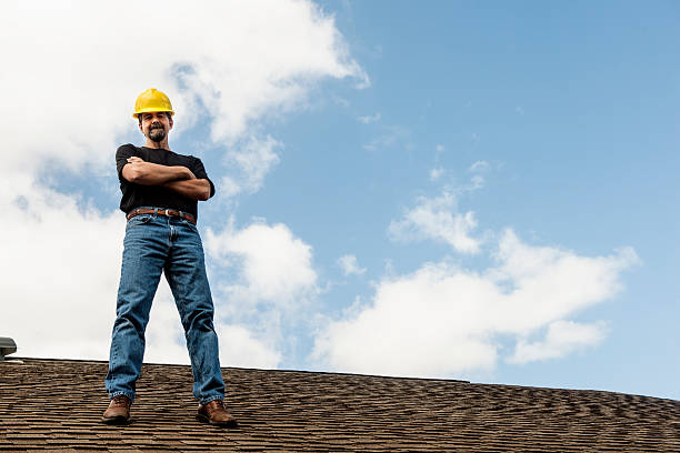 Best Roof Gutter Cleaning  in Point Mackenzie, AK