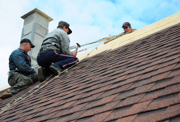 Best Best Roofing Contractors  in Point Mackenzie, AK